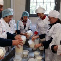 Курсы по производству сыров на русском