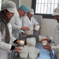 Курсы по производству сыров на русском